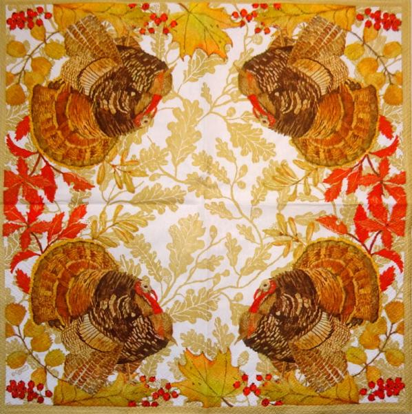 043 Peacock - 3-ply - Converting 2002